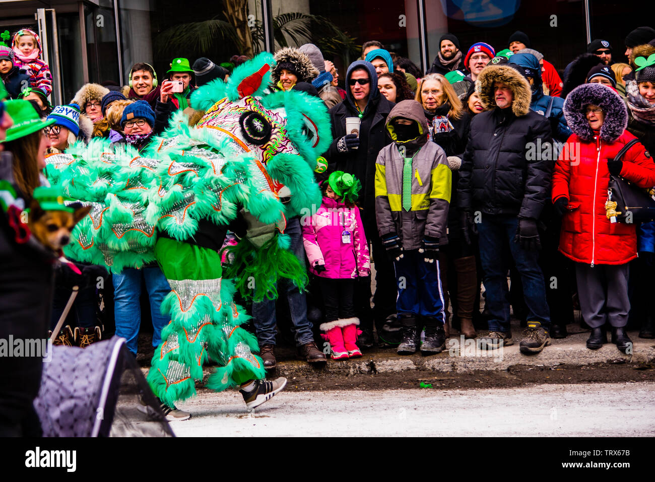 Lion Dancer celebrating the Saint Patrick`s Day Parade in Montreal downtown Stock Photo